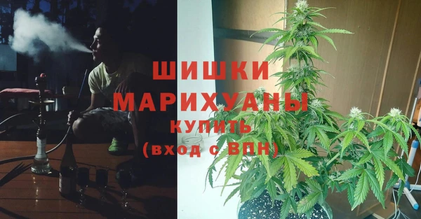 гидра Нея