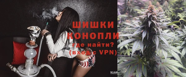 прущие грибы Навашино