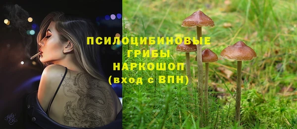 гидра Нея