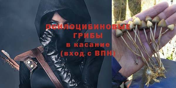 гидра Нея