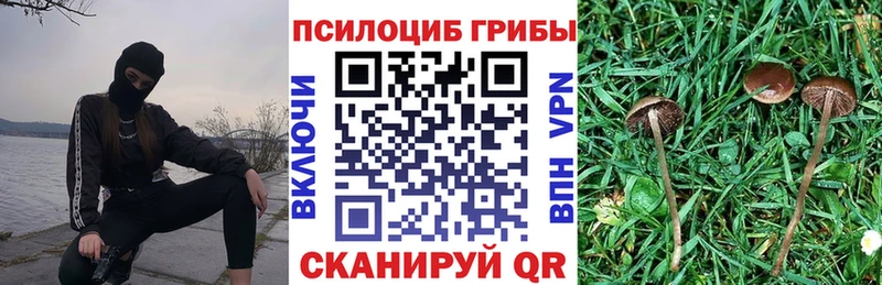 Галлюциногенные грибы Magic Shrooms  наркошоп  Мамадыш 
